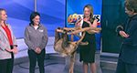 In the WFMZ studio with Bean the Sloth and Monty the Angolan Python