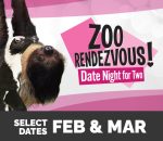 Select dates in February & March - Zoo Rendezvous Date Night for Two